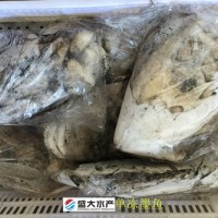 單凍墨魚(yú)/花枝/烏賊，干凍沒(méi)有泡水，產(chǎn)自福建東山島