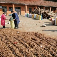 廠家批發湖北隨州油茶籽殼、茶粕、現貨量大從優