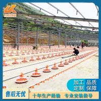 雞自動(dòng)下料食槽 肉雞自動(dòng)料線(xiàn)水線(xiàn)飲水器 平養(yǎng)散養(yǎng)自動(dòng)料線(xiàn)水線(xiàn)