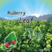 杜康牌開(kāi)化桑葉茶 真正冬桑原料 17年有機(jī)認(rèn)證出口西方國(guó)家茶