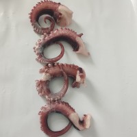 海鮮水產冷凍脆口魷魚須新鮮大八爪魚深海章魚足火鍋燒烤食材批發(fā)