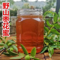 農場蜂蜜棗花蜜 蜂農自產自銷棗花原蜜貼牌 500g土蜂蜜批發