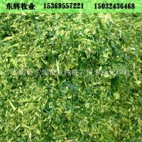 生物發酵飼料 奶牛粗飼料 玉米青儲飼料 大量食草性動物青貯飼料