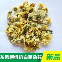 杭白菊朵花廠家批發(fā)桐鄉(xiāng)菊花胎菊精選杭白菊花茶花果茶廠家直銷(xiāo)