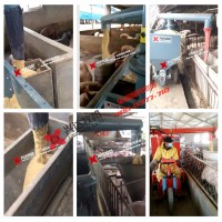 湖南自動化養(yǎng)豬設(shè)備 電動喂料車 養(yǎng)豬場喂料機 興達牧機