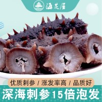 海芝屋大連純淡干海參底播刺參 海參干貨50克裝海參散裝批發 特產