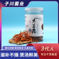 子川罐裝蟲草花60g送禮煲湯煲粥 產地貨源大量現(xiàn)貨批發(fā)南北干貨