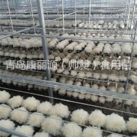 青島康麗源出口銀耳菌棒，銀耳菌包（日本雪耳）