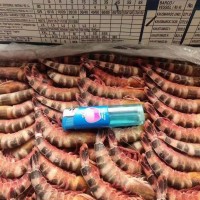 生凍貓虎蝦/斑節(jié)蝦，一盒4斤，一件6盒