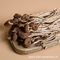 天天源 禮盒裝茶樹(shù)菇135g 古田干貨茶樹(shù)菇煲湯食材菌菇類香菇批發(fā)