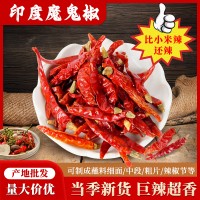 印度椒印度魔鬼椒辣椒王椒1斤/袋可免費(fèi)磨粉切斷量大價(jià)優(yōu)批發(fā)包郵