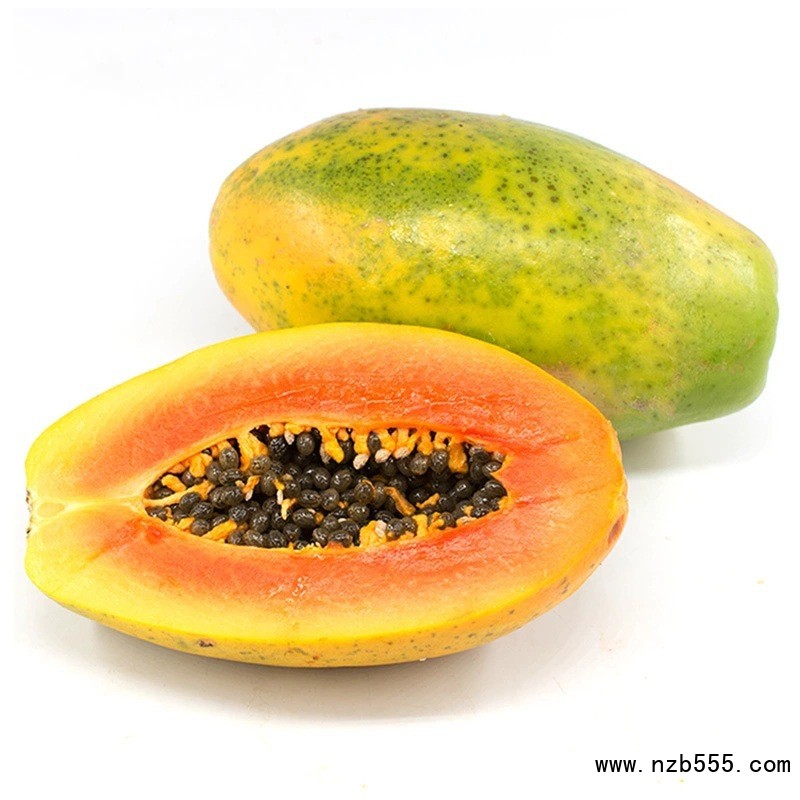 O1CN01qfUB5g1OrDIWKieA4_!!2217609131758-0-cib