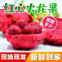 紅心火龍果新鮮正宗水果一整箱時令當季果肉飽滿紅肉水果新品