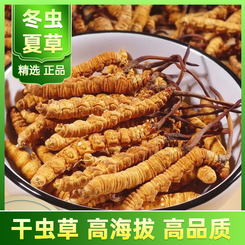 O1CN01zRGISQ2M5SdXvGq3O_!!2211271509776-0-cib