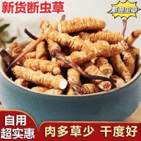 那曲冬蟲夏草大斷草純?nèi)夤?jié)蟲草斷草自用超實惠一手貨源批發(fā)天然