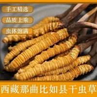 那曲冬蟲夏草干貨足干蟲草全規(guī)格散裝批發(fā)無斷草產(chǎn)地直供滋補品