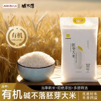 現(xiàn)貨批發(fā)東北大米堿不落有機(jī)胚芽米真空包裝軟糯營養(yǎng)米5kg胚芽米